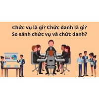 Chức vụ là gì? Chức danh là gì? So sánh chức vụ và chức danh? Ví dụ