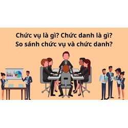 Chức vụ là gì? Chức danh là gì? So sánh chức vụ và chức danh? Ví dụ