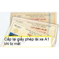 Hồ sơ, thủ tục cấp giấy phép lái xe A1 bị mất ? Điều kiện thi GPLX hạn A1