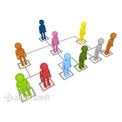 Chi nhánh có cần phải lập báo cáo tài chính hợp nhất hay không?