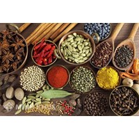 Các chứng chỉ cần thiết heo quy định của pháp luật để mở quầy thuốc bán lẻ thuốc đông y,  dược liệu sao cho hợp pháp?
