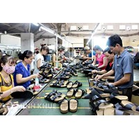 Nên mở địa điểm kinh doanh hay xưởng sản xuất giày dép?