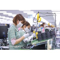 Giải quyết tranh chấp hợp đồng thử việc và lao động với bệnh viện?
