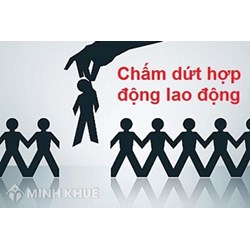 Có được chấm dứt hợp đồng khi người lao động mang thai không?
