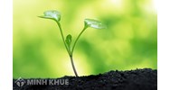 Trợ cấp xã hội cho người khuyết tật được quy định như thế nào?