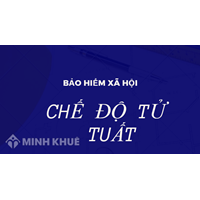 Tiền trợ cấp hàng tháng cho vợ của người đã mất