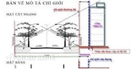Xây dựng nhà ở cách mốc lộ giới bao nhiêu mét?