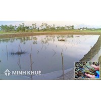 Đất ao có được cấp sổ đỏ không? Thủ tục và chi phí như thế nào?