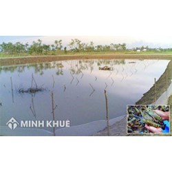 Đất ao có được cấp sổ đỏ không? Thủ tục và chi phí như thế nào?