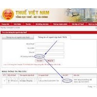 Xử lý trường hợp một cá nhân có nhiều mã số thuế?