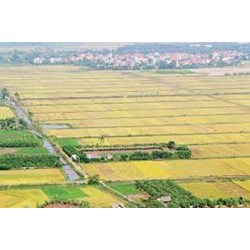 Điều kiện và thủ tục chuyển nhượng quyền sử dụng đất, quyền sở hữu nhà và tài sản khác gắn liền với đất ?