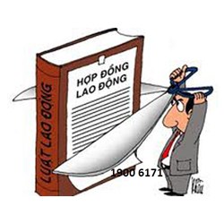 Bị cho thôi việc khi không có hợp đồng lao động thì giải quyết như thế nào ?
