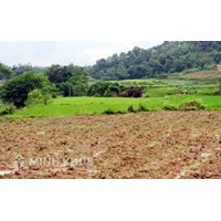 Xác định mức bồi thường đền bù, hỗ trợ tái định cư khi thu hồi đất?