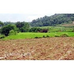 Xác định mức bồi thường đền bù, hỗ trợ tái định cư khi thu hồi đất?