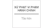 Tư vấn về mức xử phạt hành chính hành vi tảo hôn ?
