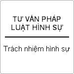 Những vấn đề về trách nhiệm hình sự ?