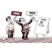 Chia thừa kế đất đai theo di chúc và theo pháp luật như thế nào?