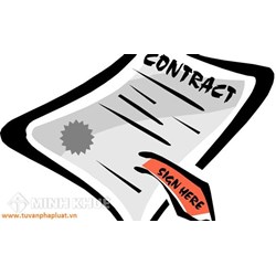 Tư vấn về quy định của pháp luật về hợp đồng lao động ?