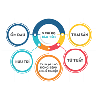 Tư vấn luật bảo hiểm xã hội trực tuyến qua email ?