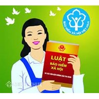 Nghiệp vụ báo tăng, báo giảm bảo hiểm xã hội theo quy định của pháp luật ?
