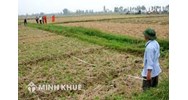 Dồn điền đổi thửa theo quy định pháp luật đất đai?