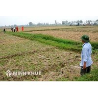 Dồn điền đổi thửa theo quy định pháp luật đất đai?