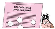 Quy định về đứng tên trong Giấy chứng nhận quyền sử dụng đất?