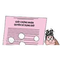 Quy định về đứng tên trong Giấy chứng nhận quyền sử dụng đất?