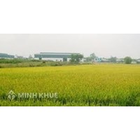 Điều kiện chuyển đổi mục đích sử dụng từ đất nông nghiệp sang đất ở?