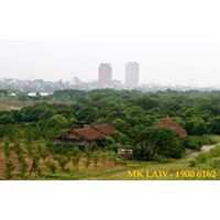 Giá đất khi chuyển từ đất hoa màu lên đất ở được tính như thế nào?