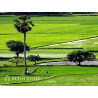 Thủ tục yêu cầu cấp trích lục thửa đất đã được cấp Giấy chứng nhận quyền sử dụng đất ?