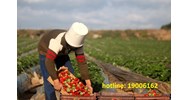 Hồ sơ xin chuyển mục đích sử dụng đất và các loại phí phải nộp khi chuyển mục đích sử dụng đất ?