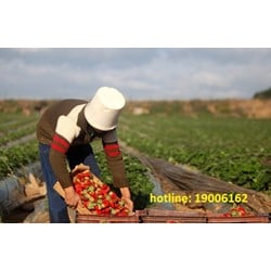 Hồ sơ xin chuyển mục đích sử dụng đất và các loại phí phải nộp khi chuyển mục đích sử dụng đất ?
