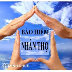Quy định pháp luật về hợp đồng bảo hiểm và hợp đồng bảo hiểm tài sản