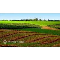 Đất không có giấy tờ gì có được cấp giấy chứng nhận quyền sử dụng đất không ?