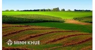 Điều kiện chuyển đổi mục đích sử dụng đất đối với đất trồng lúa?