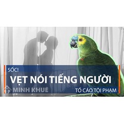 Các trường hợp được tố cáo tội phạm và gửi đơn tố cáo đến đâu?
