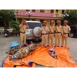 Xử lý như thế nào khi xảy ra tai nạn giao thông?