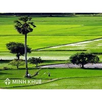 Điều kiện để được hỗ trợ tái định cư và cách tính bồi thường tái định cư?