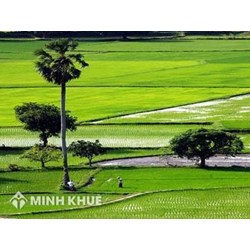 Điều kiện để được hỗ trợ tái định cư và cách tính bồi thường tái định cư?