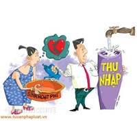 Phân chia tài sản chung theo quy định nào ? Chia tài sản chung của vợ chồng là bất động sản ?