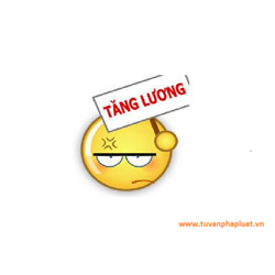 Thắc mắc về ngạch, cấp bậc lương theo luật lao động ?