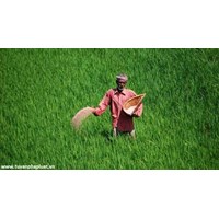 Làm thế nào để chuyển đổi đất 5% thành đất ở ?