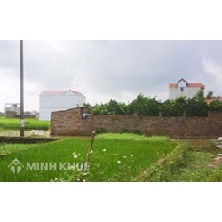 Có thể chuyển đổi đất nông nghiệp thành đất ở (đất thổ cư) hay không ?