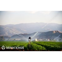 Điều kiện chuyển đổi đất nông nghiệp sang làm đất trang trại?