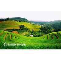 Mua đất nông nghiệp có thực sự hợp pháp theo luật đất đai không ? Cách mua đất nông nghiệp ?
