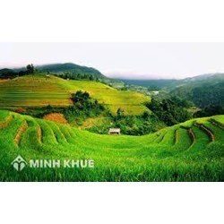 Mua đất nông nghiệp có thực sự hợp pháp theo luật đất đai không ? Cách mua đất nông nghiệp ?