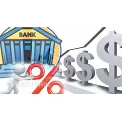 Quy định của pháp luật về hoạt động tính lãi suất trong kinh doanh cầm đồ ? Cách tính lãi suất cho vay ?