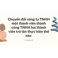 Chuyển đổi công ty TNHH một thành viên thành công TNHH hai thành viên trở lên thực hiện thế nào ?