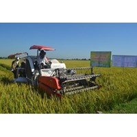 Đất nông nghiệp trong diện dồn điền đổi thửa có được chuyển nhượng không?